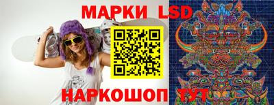 стафф Новокубанск
