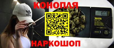 стафф Новокубанск