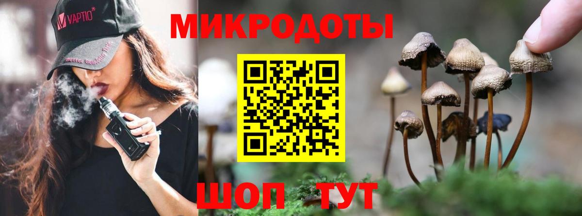Псилоцибиновые грибы мицелий  Вход с VPN  сколько стоит  Сертолово 