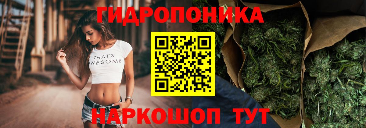 Сертолово  Канабис Bruce Banner  Вход с VPN  Канабис SATIVA & INDICA  Бошки Шишки SATIVA & INDICA 